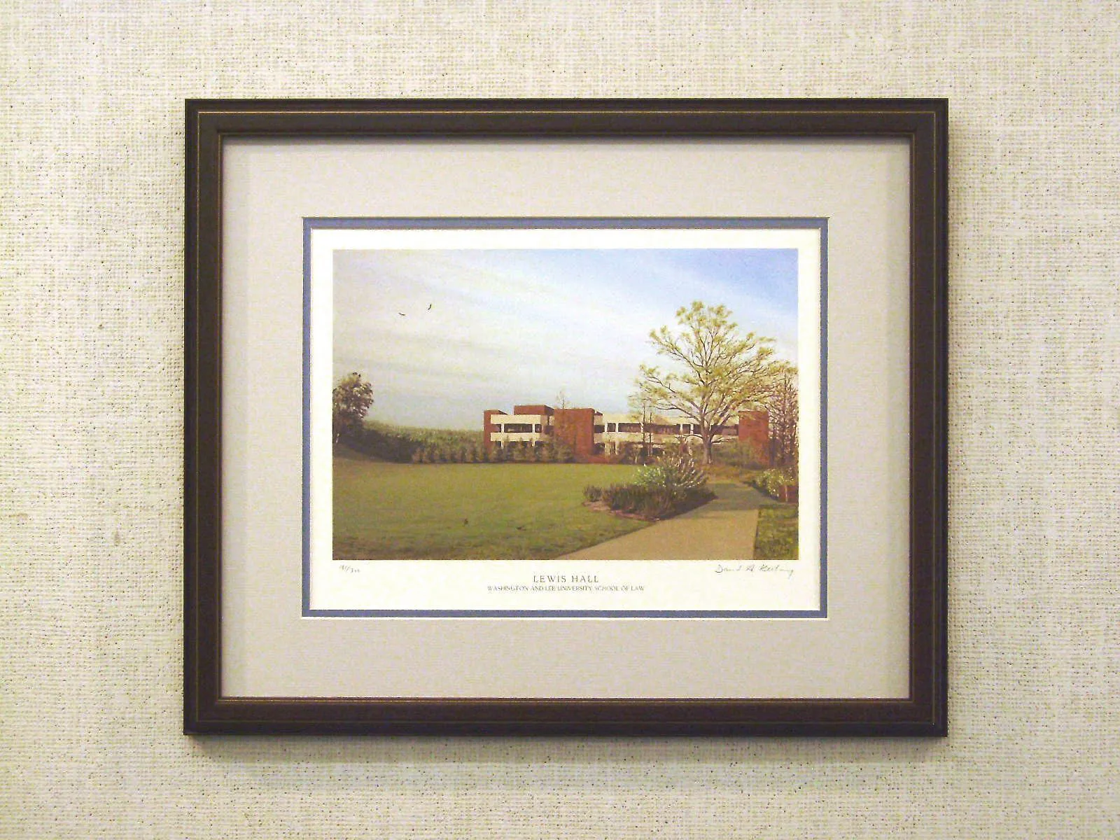 Washington and Lee University Law